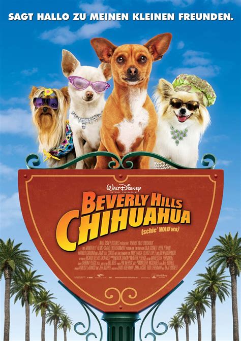 beverly hills chi|beverly hills chihuahua 4.